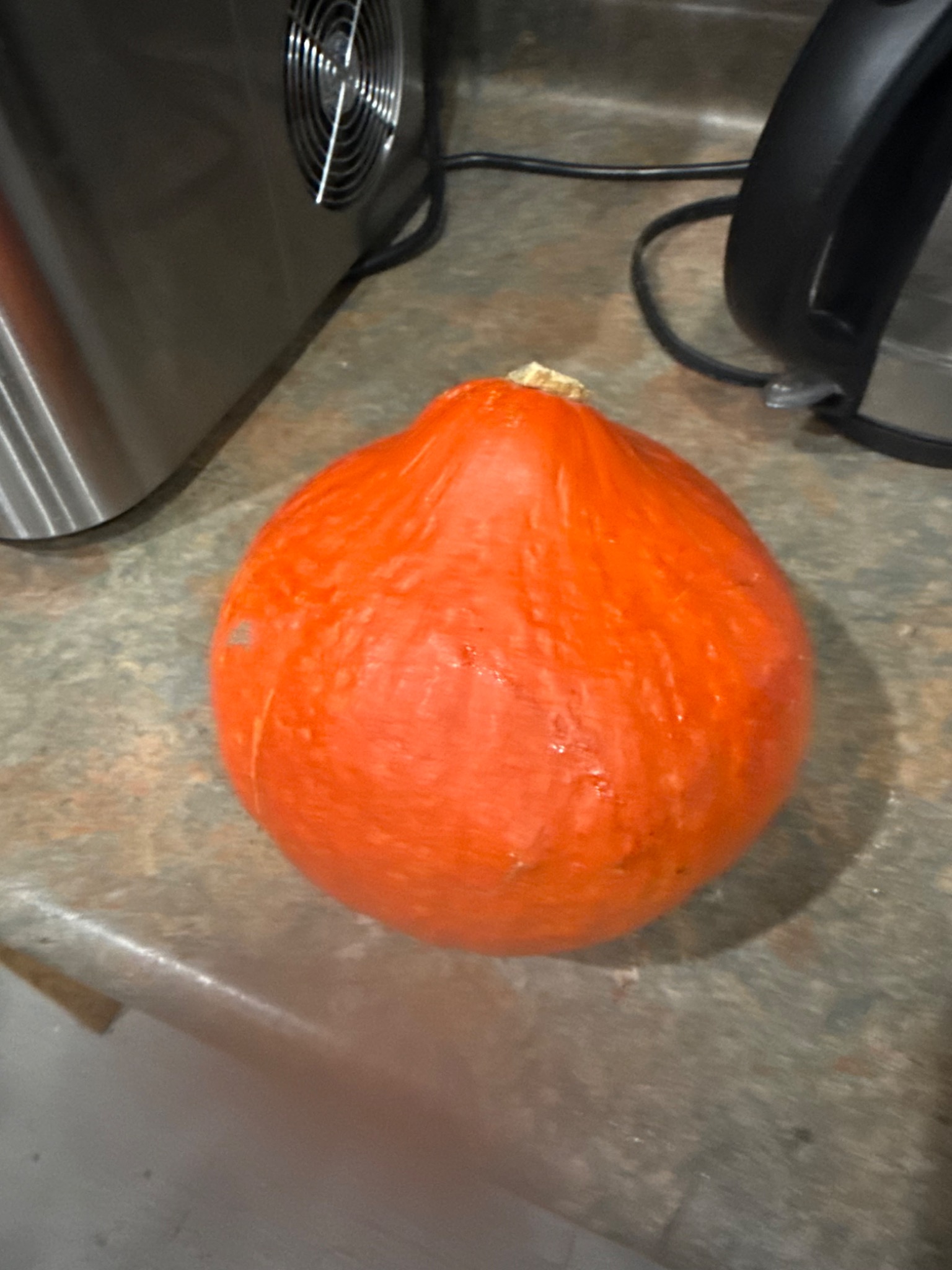 Orange squash