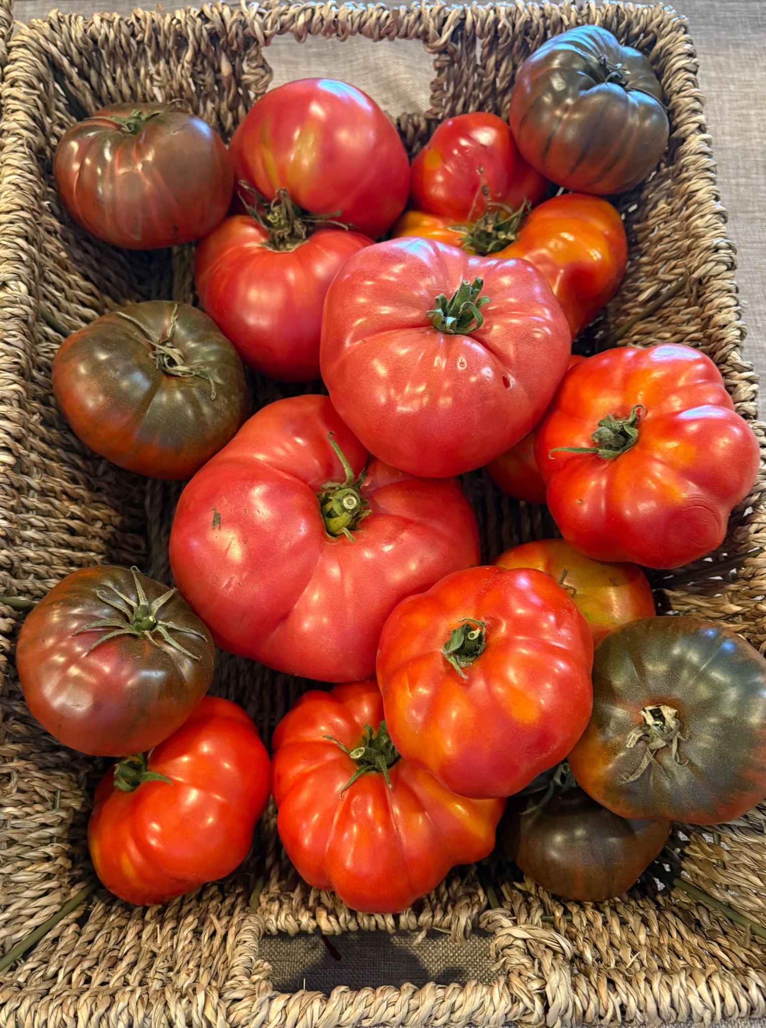 Basket of assorted tomatoes