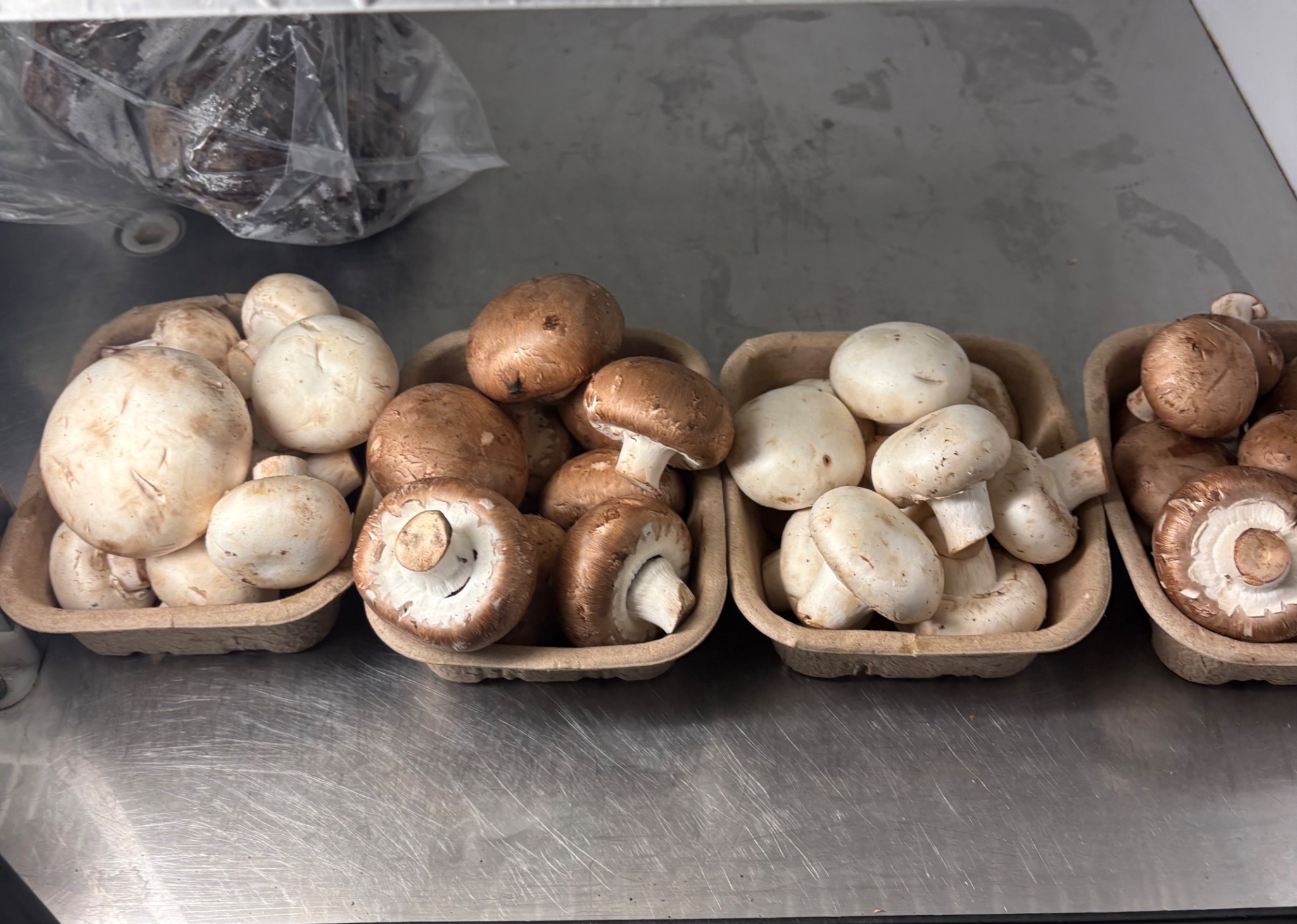 White and brown mushrooms